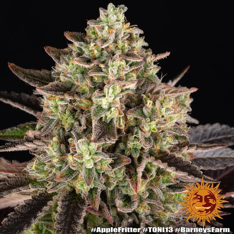 Apple Fritter, Фасовка: 3, изображение 3